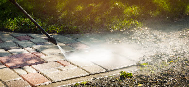 Best House Exterior Washing  in Richmond, MN