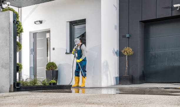 Best Fence Cleaning  in Richmond, MN